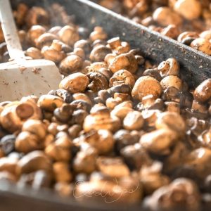 Naturchampignons im Rieslingsud